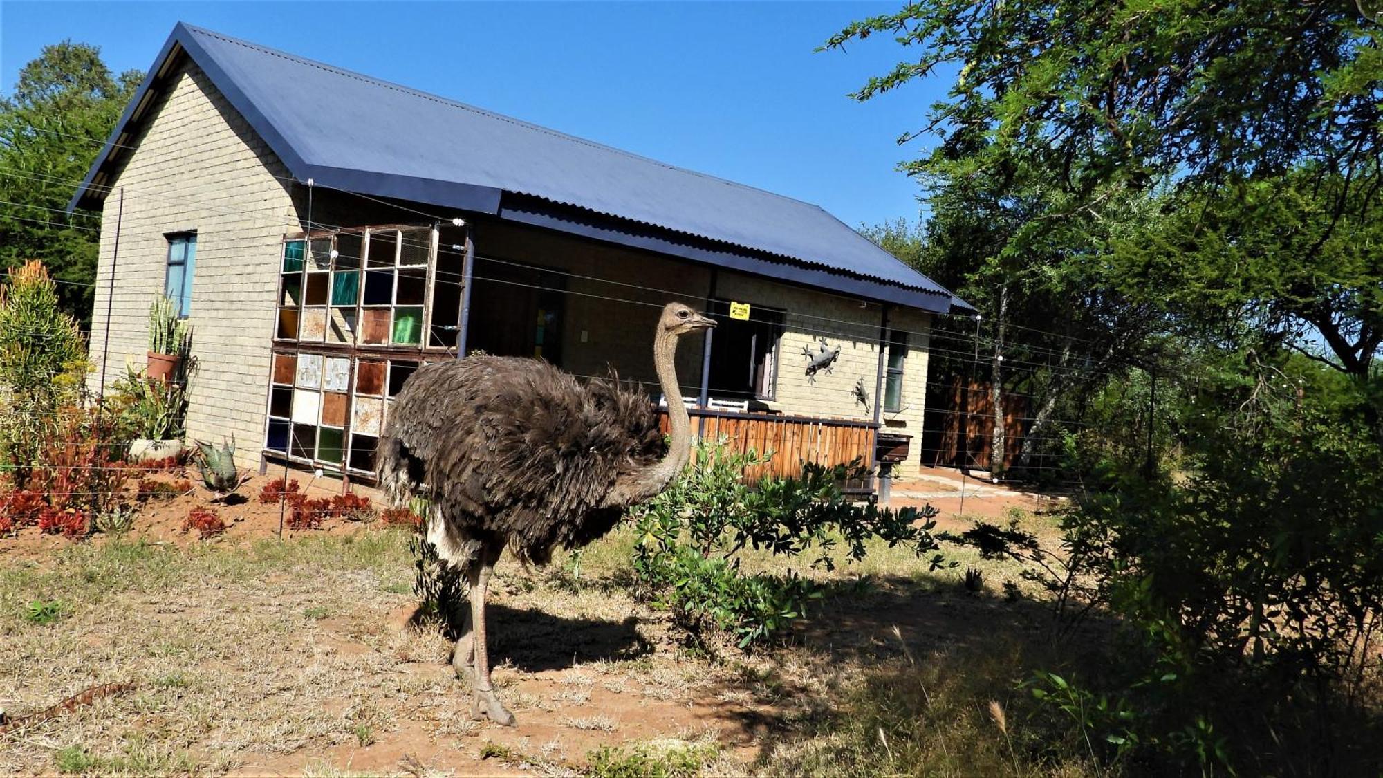Marulani Bush Lodge Klipdrift 외부 사진